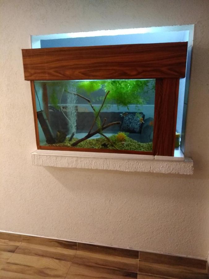 Apartment Sarajevo - Vraca Esterno foto